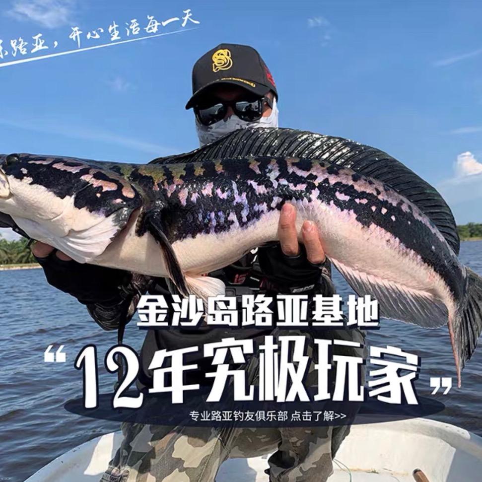 金沙岛路亚