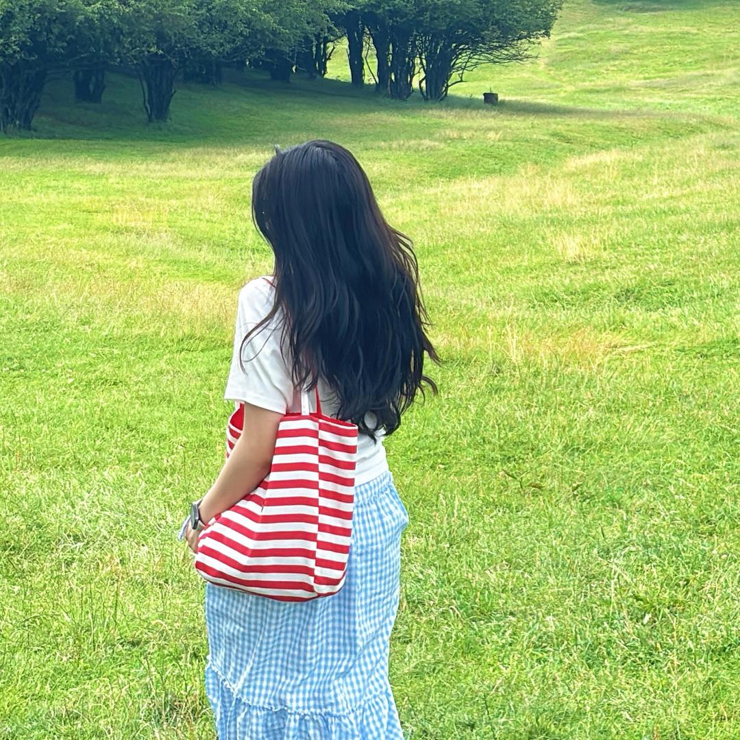 团子TT