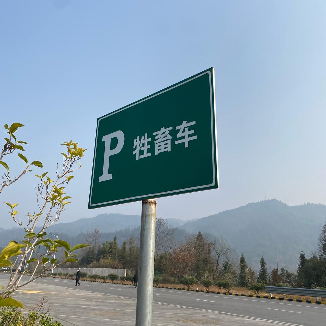 花哥　  　　　　╲　　　　　  🪳