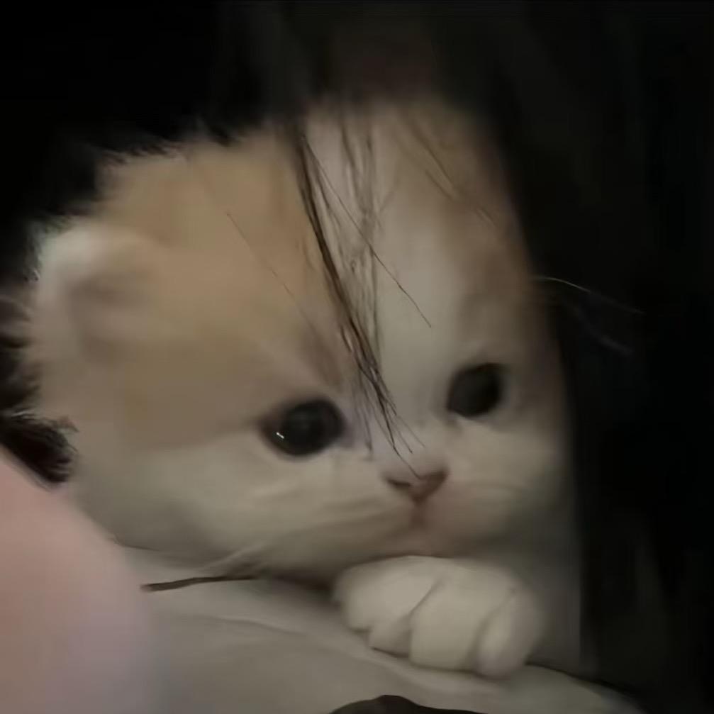 草莓牛奶🍓