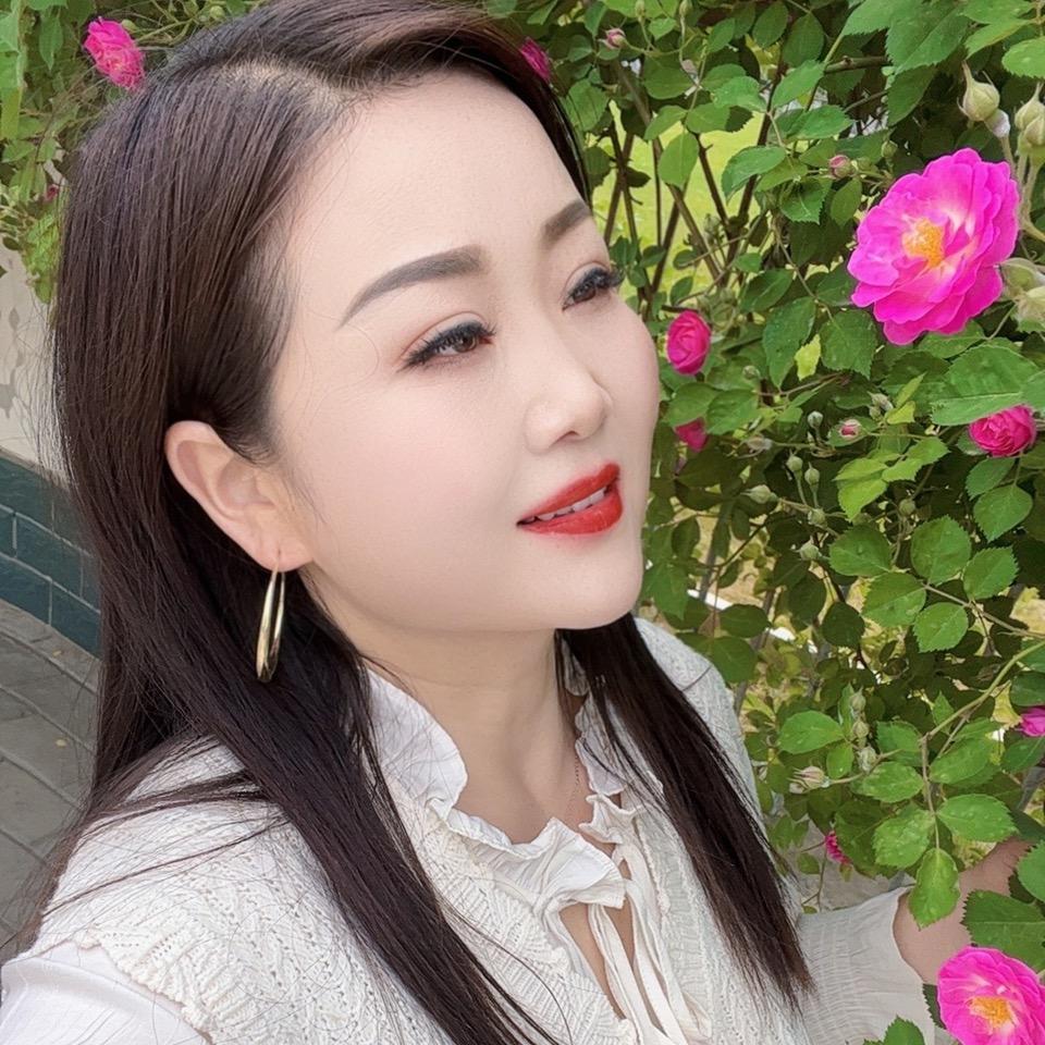 甘肃刺玫瑰