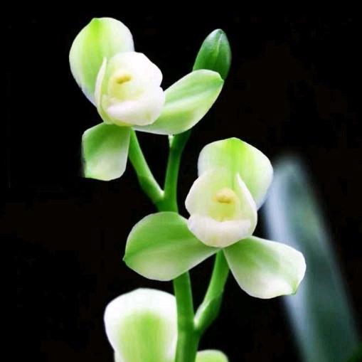 千禧花汇