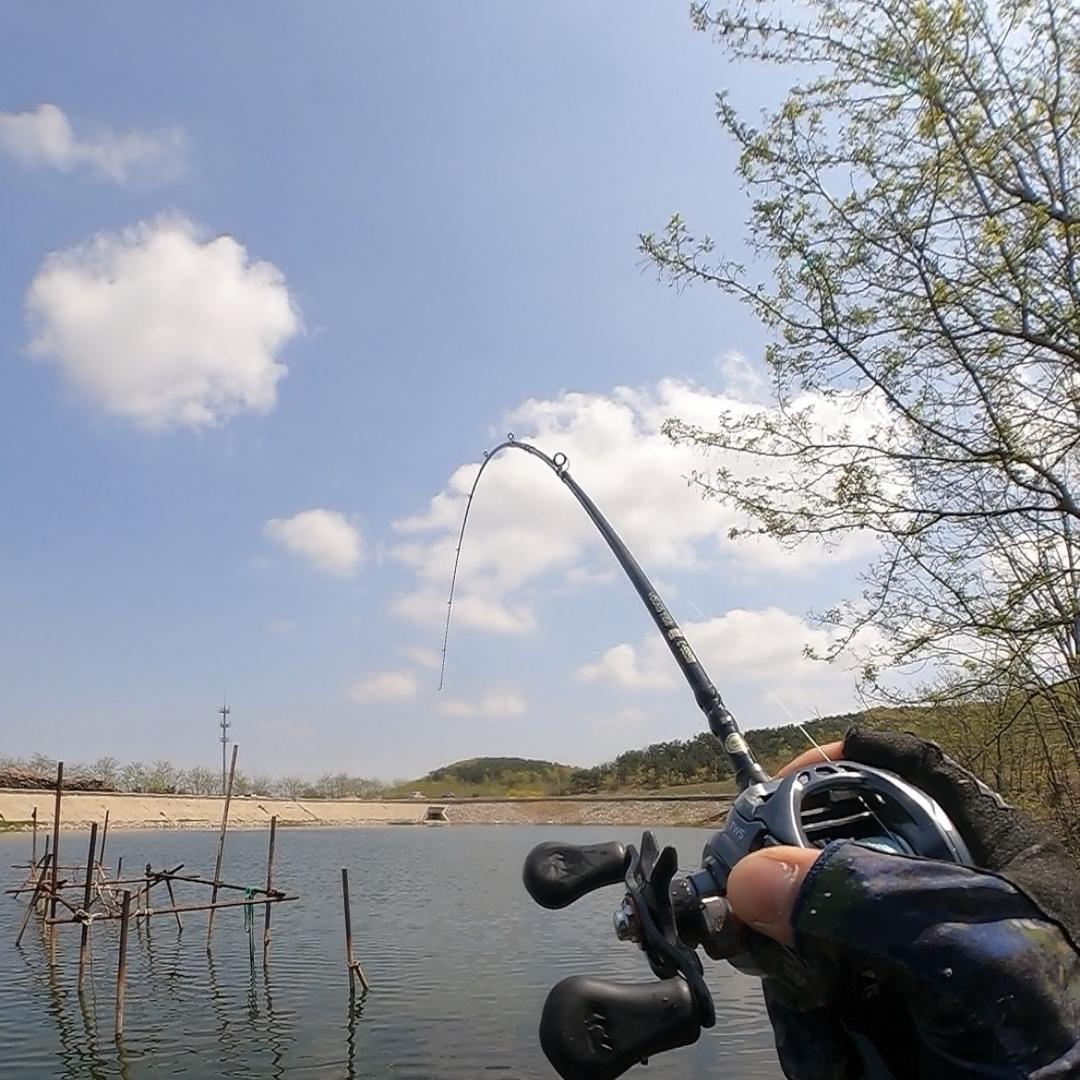 豪望钓渔升路亚的头像