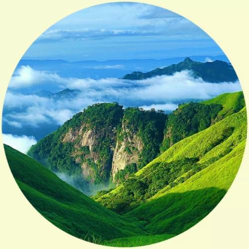 百草肤康堂