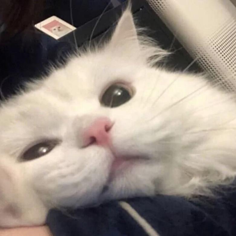 小婷。