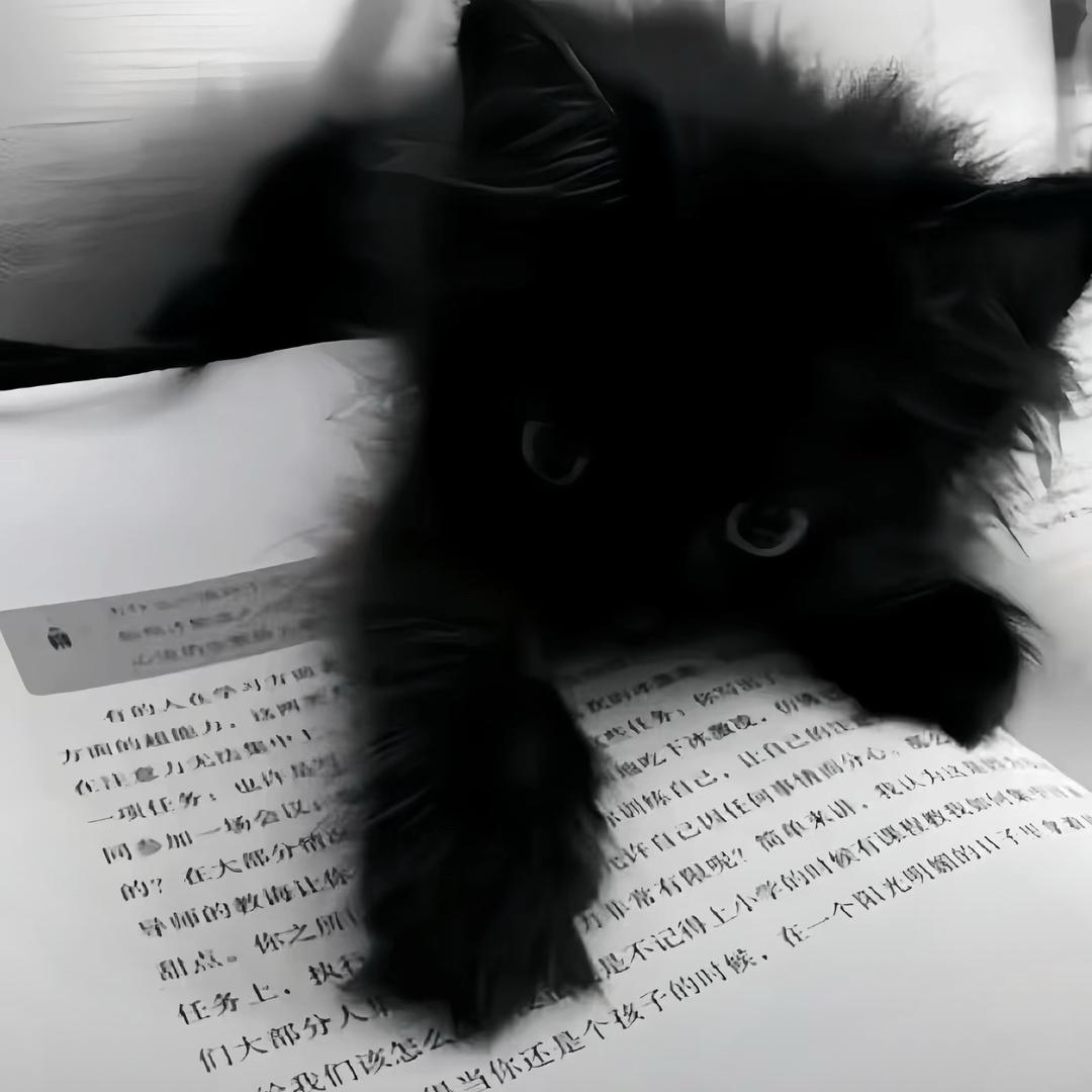 再哭我是狗
