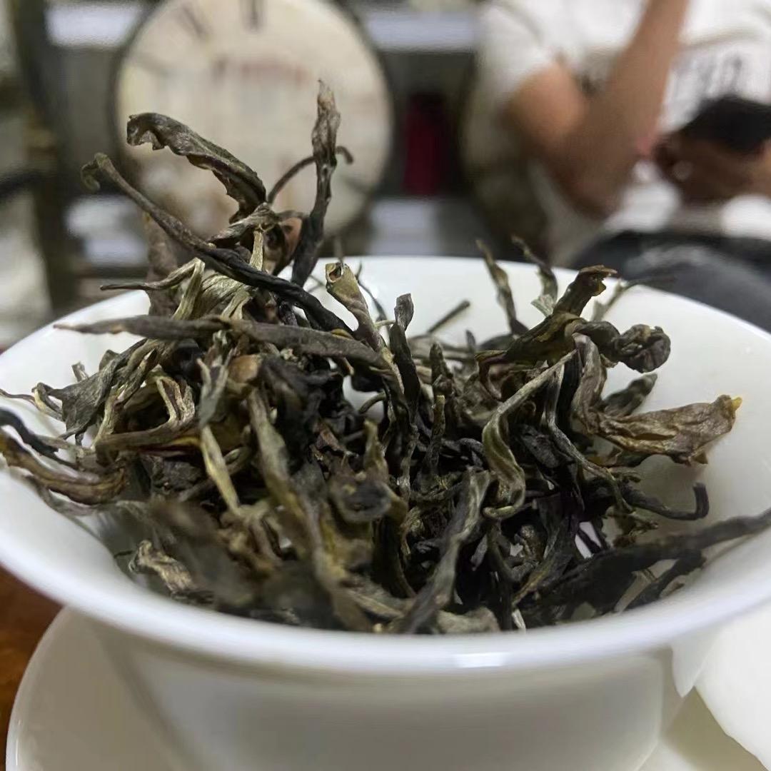 山里寻茶