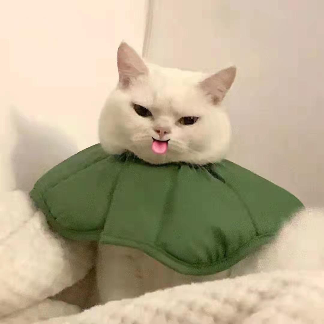 549