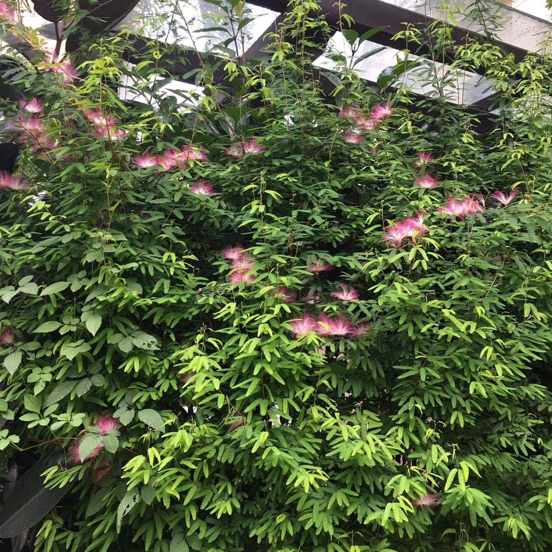 胡秀平专业厨房定制