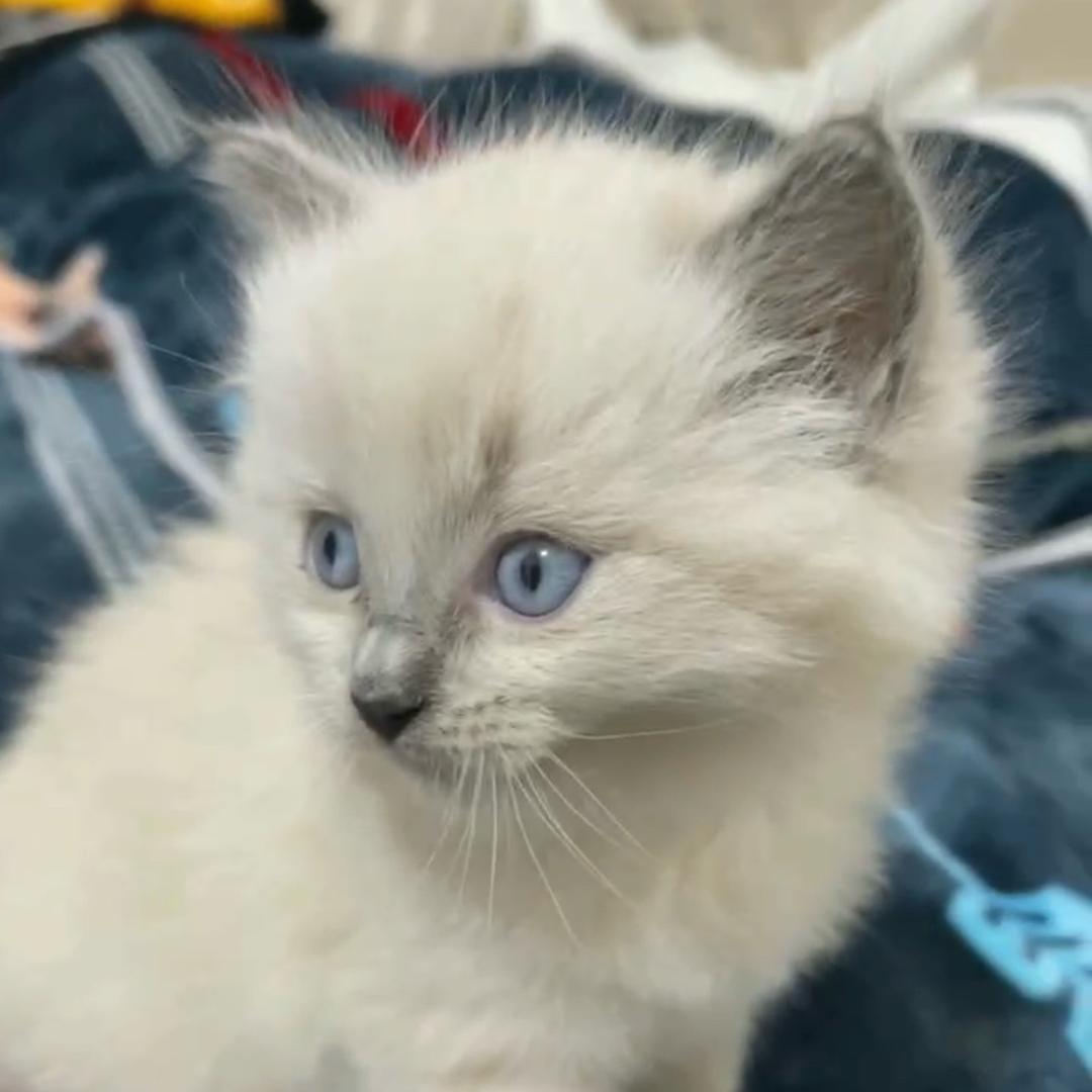 小宇