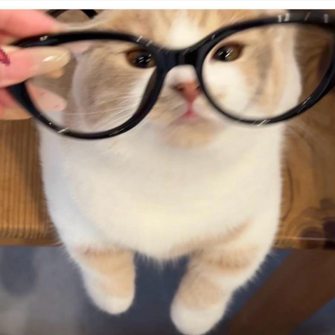 邢台婷子聊好房