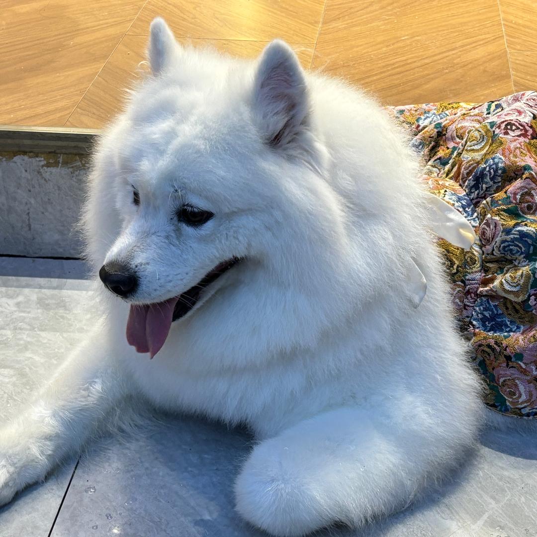 💕雅雅👧