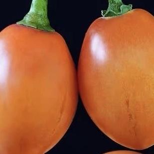 腾冲绿树红果农品甄选