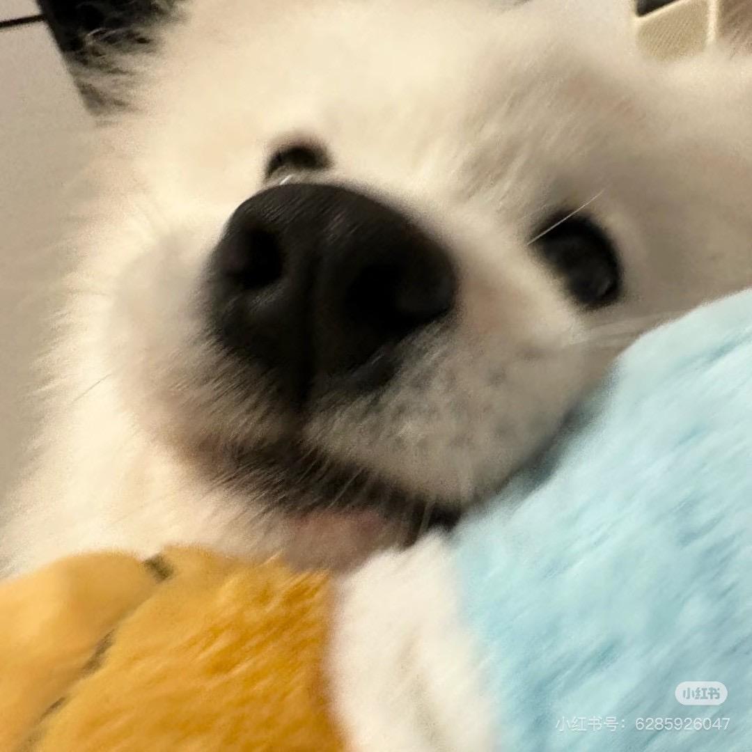 ʚ ɞ