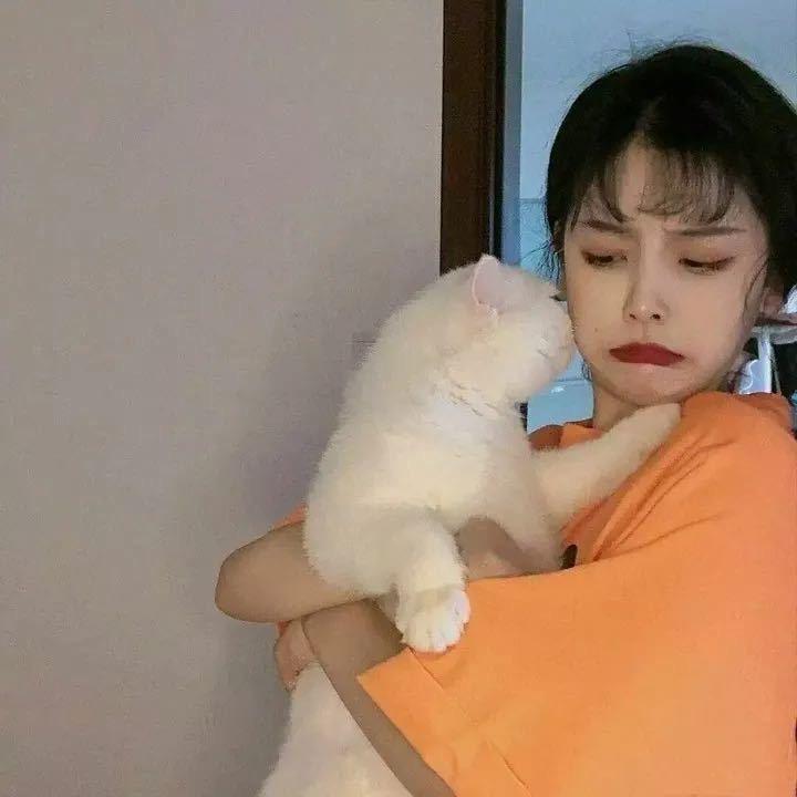 汤汤水水