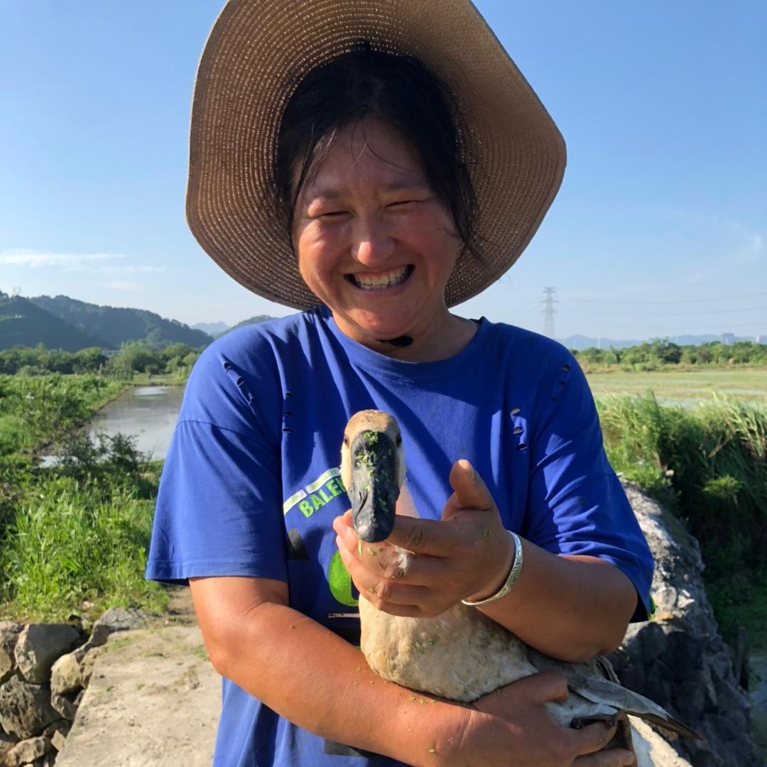 杨姐的养殖生活
