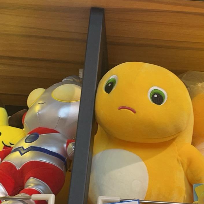 不爱说话的大白菜