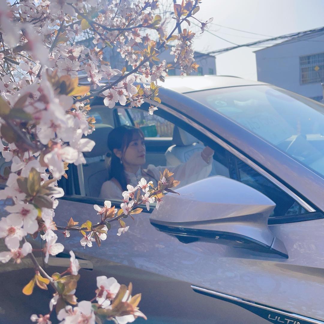 荣威福利推荐官