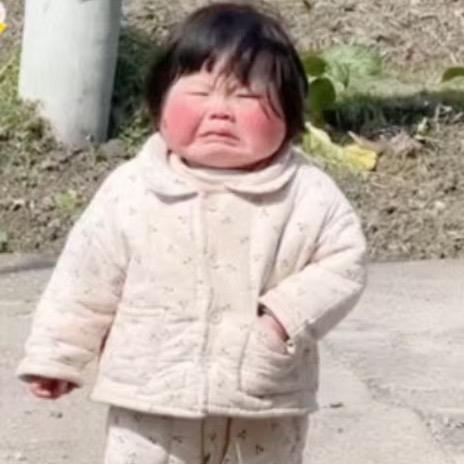 胡萝卜🥕