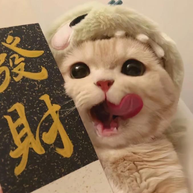 啾咪啾咪biu