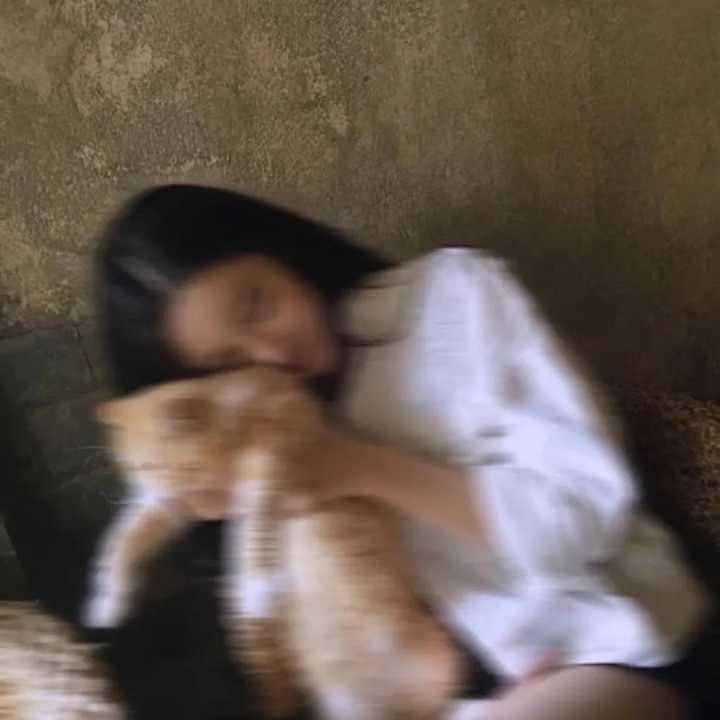 凌晨一点的猫✨