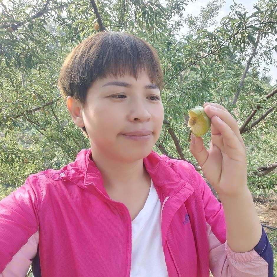 巧儿蜂糖李