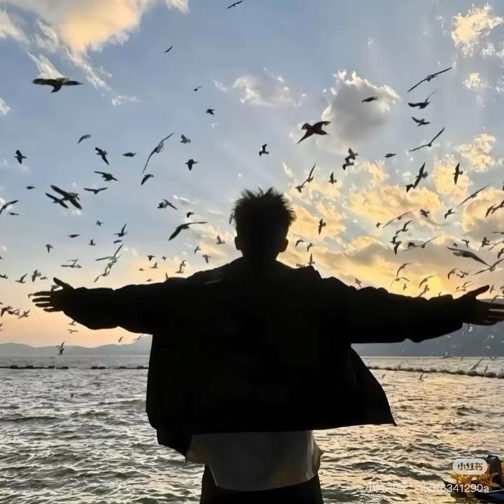 寻宝属(三角洲行动)🍃