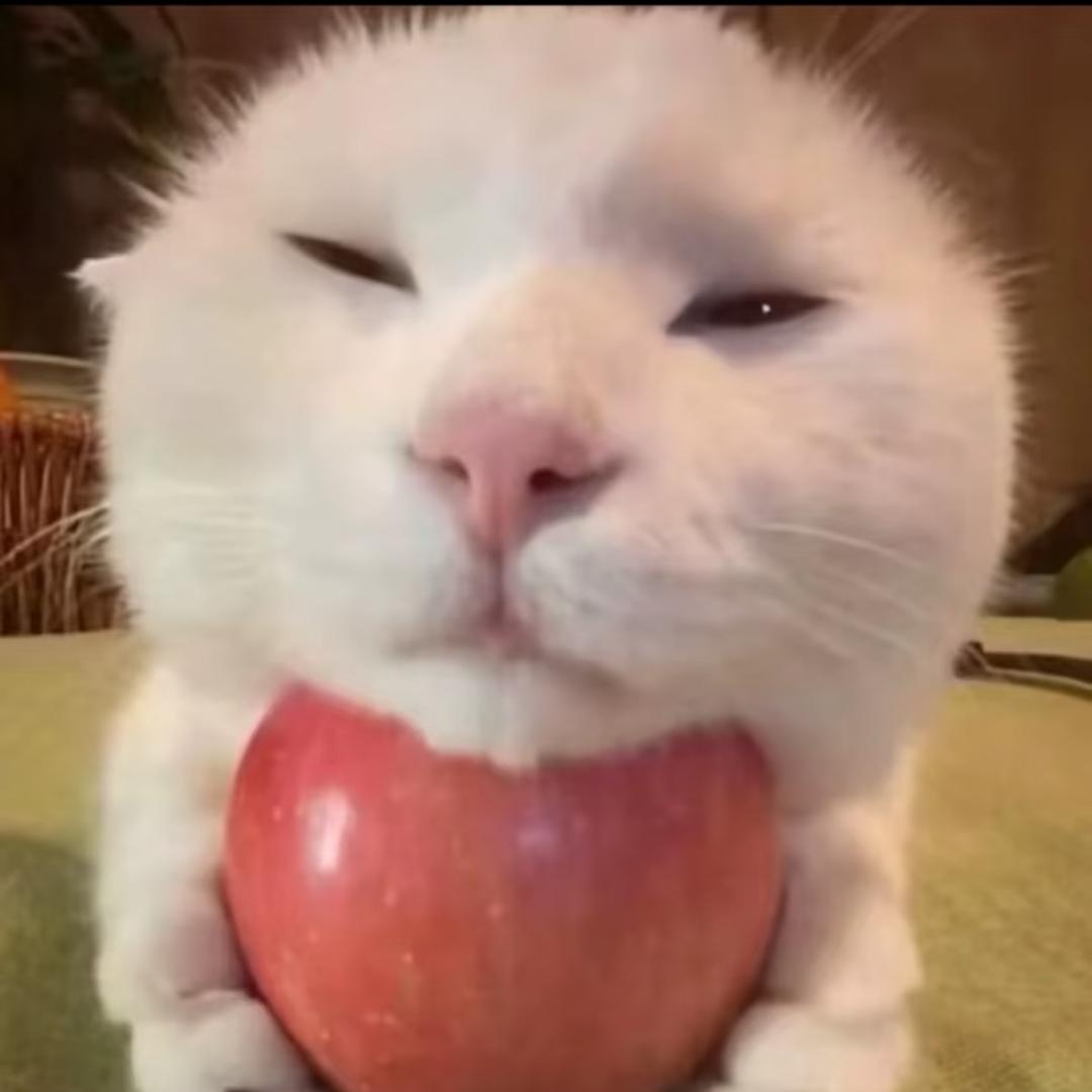 芋泥丸子