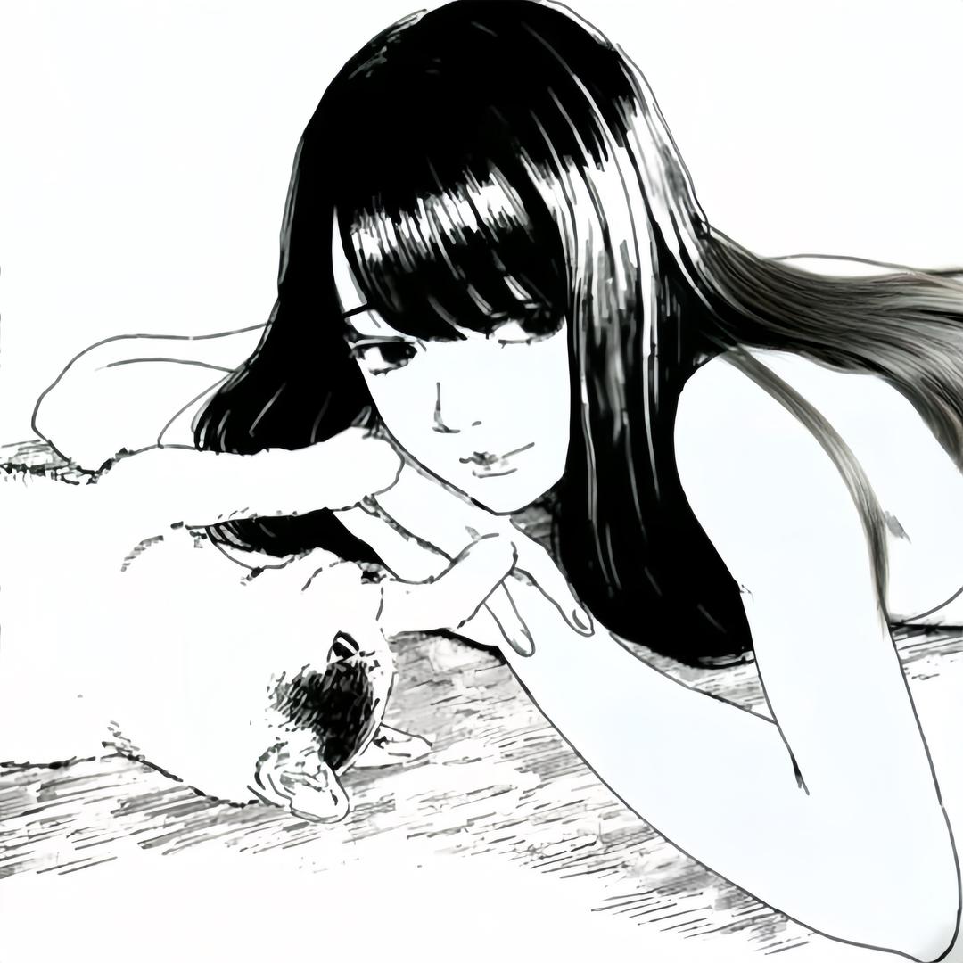 D8猫