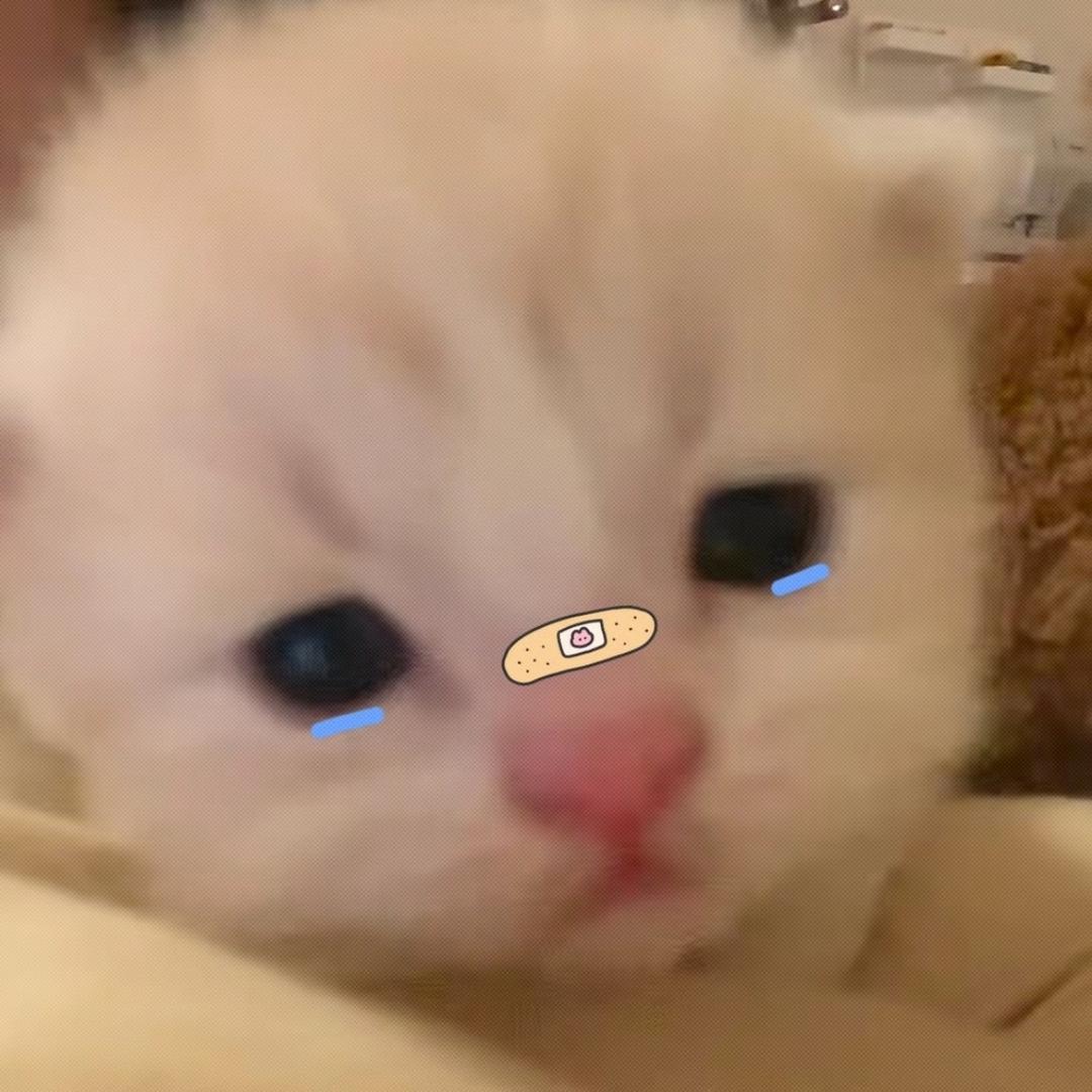 佐
