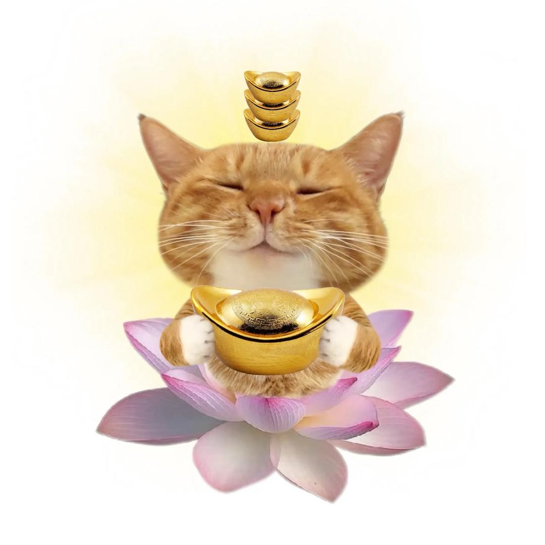 小睡眠儿
