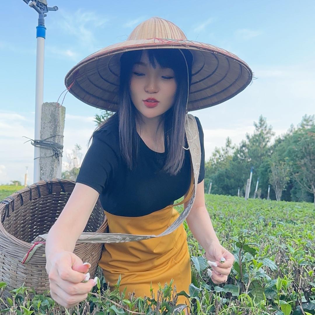 叶子生活号
