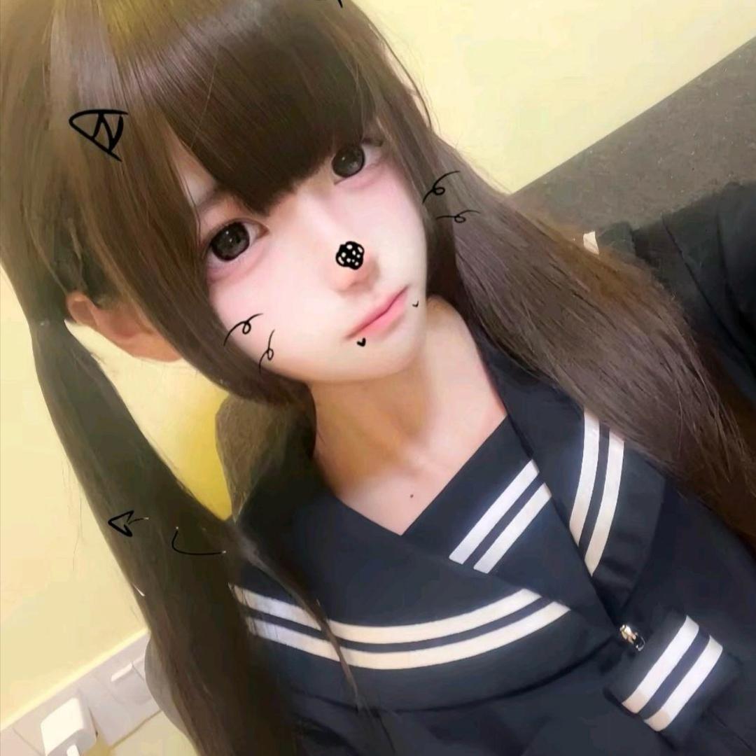 宅猫