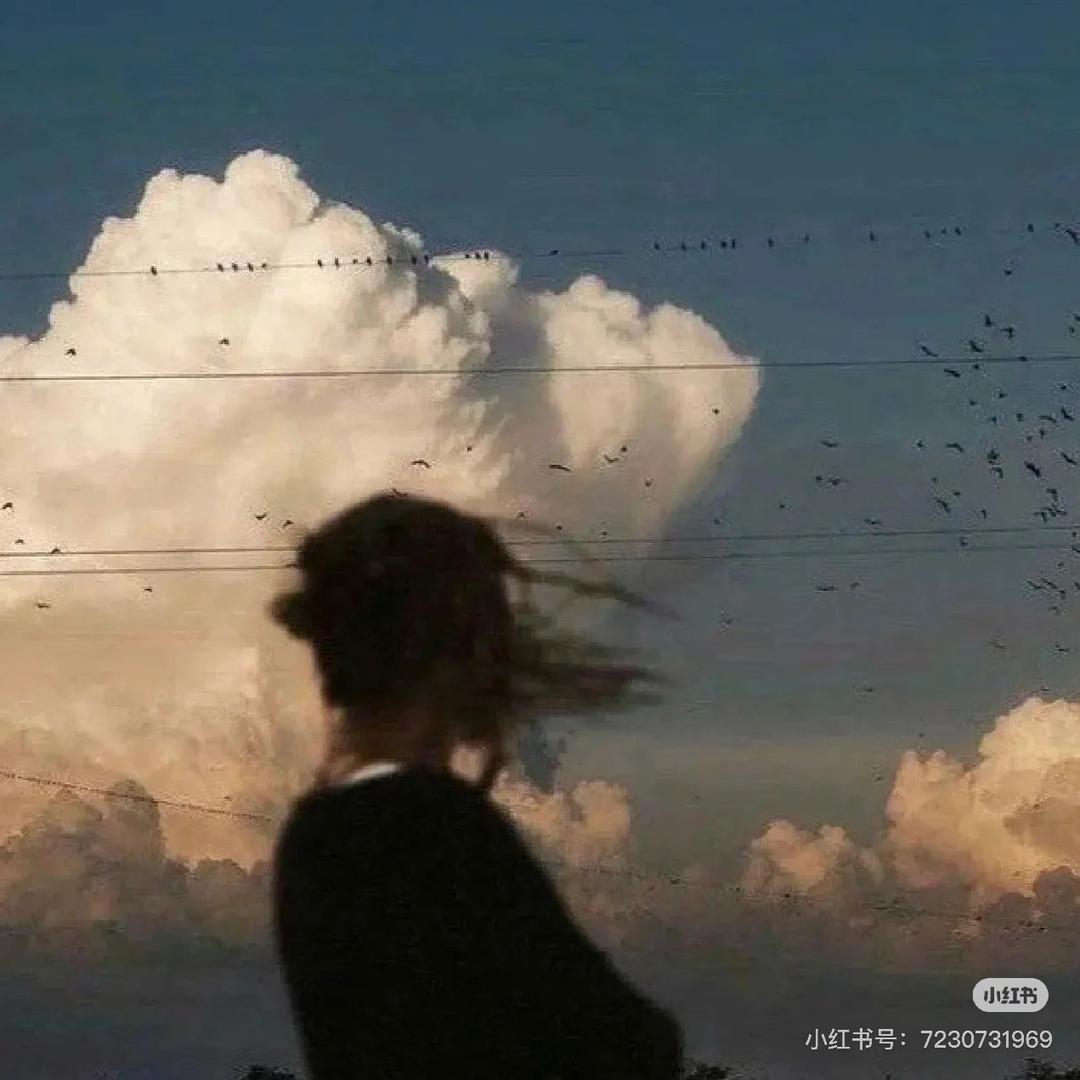 沐小沐
