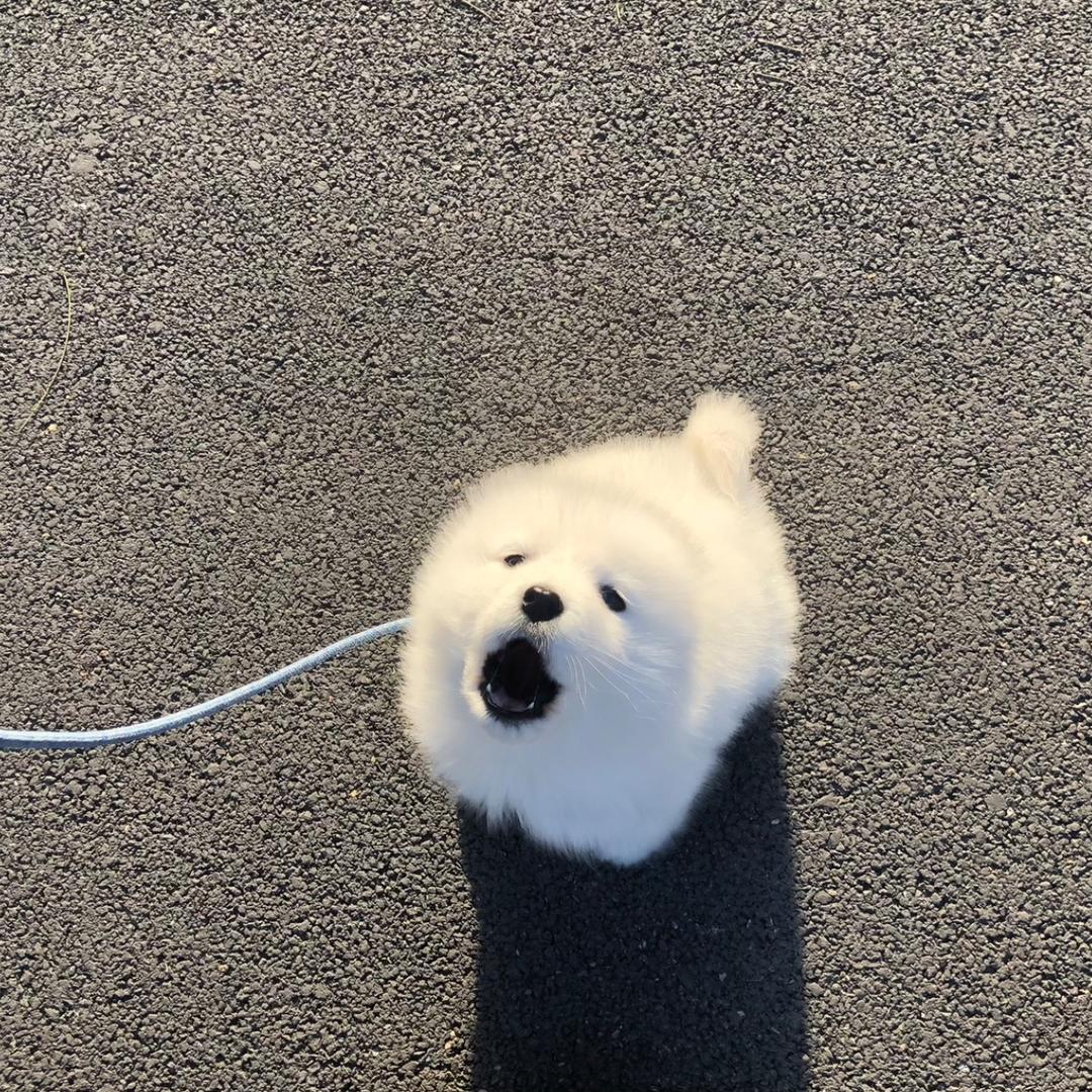 还是个处。