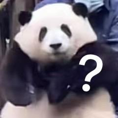 熊七崽·三角洲