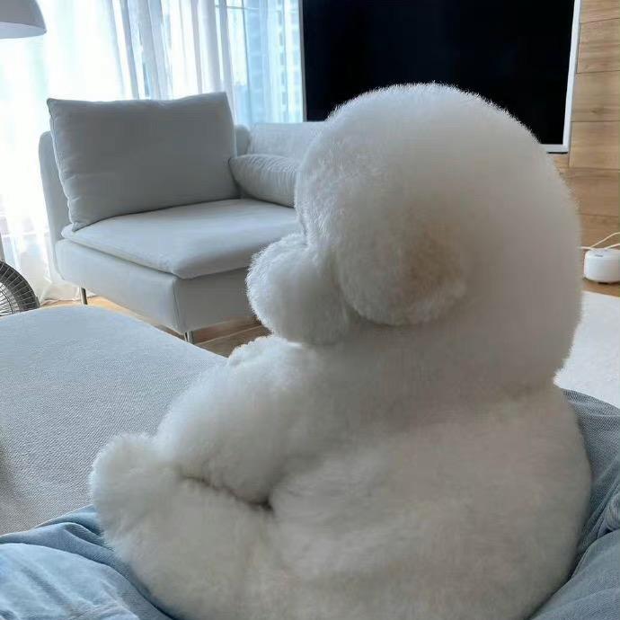 小迷糊米妮🐰