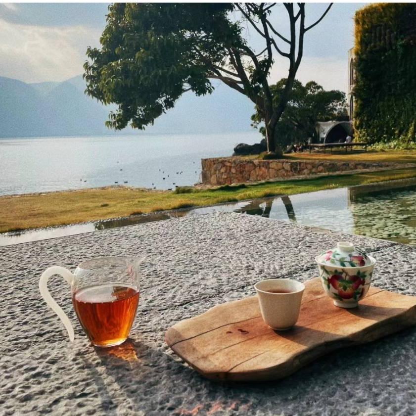 宝树平价好茶