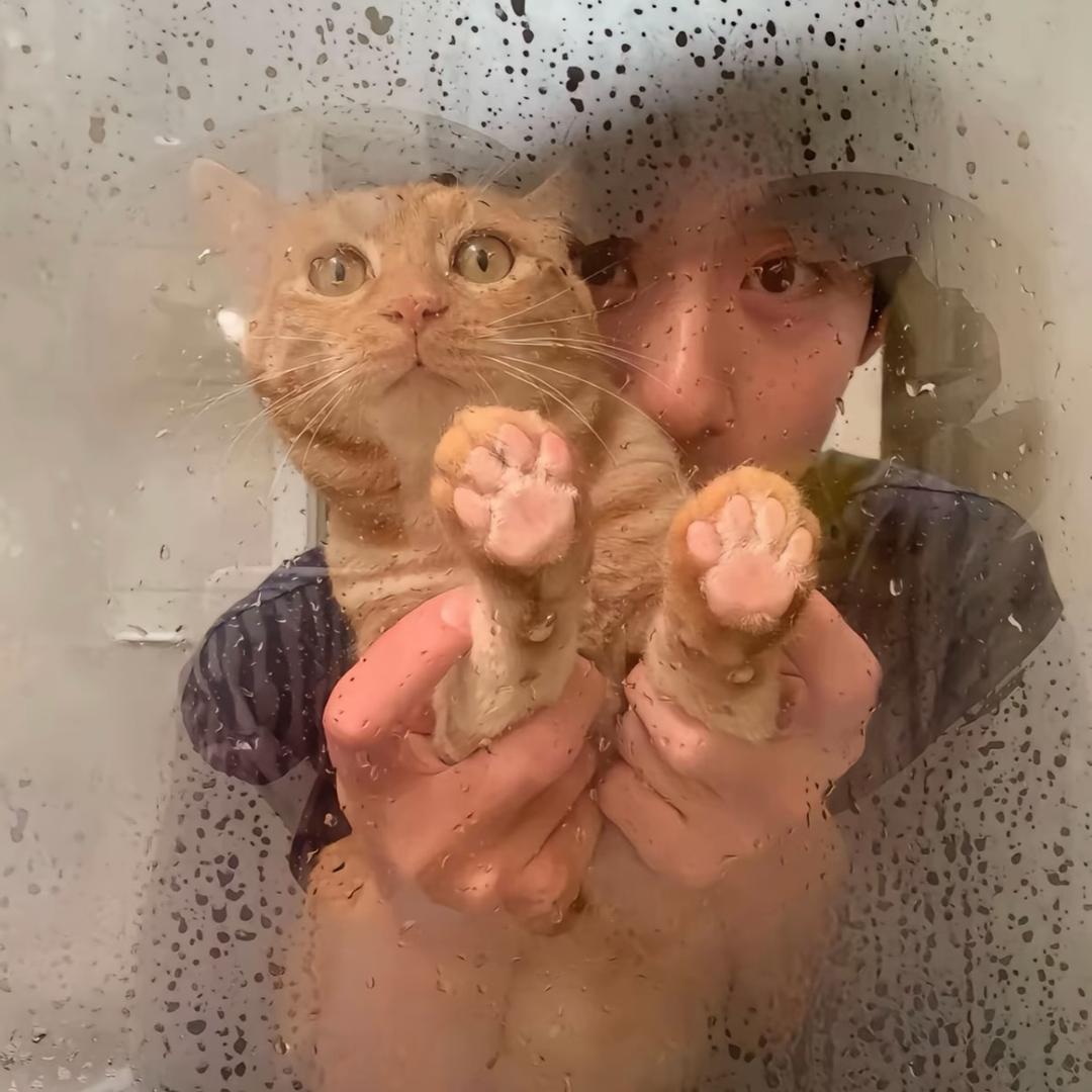 Ton