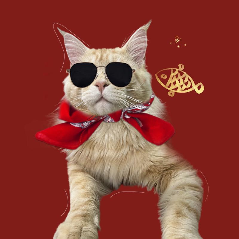 猫大王严选