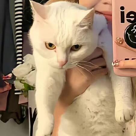 111