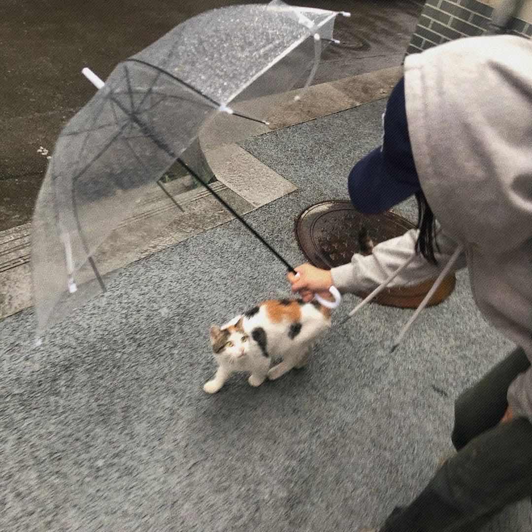 Me
