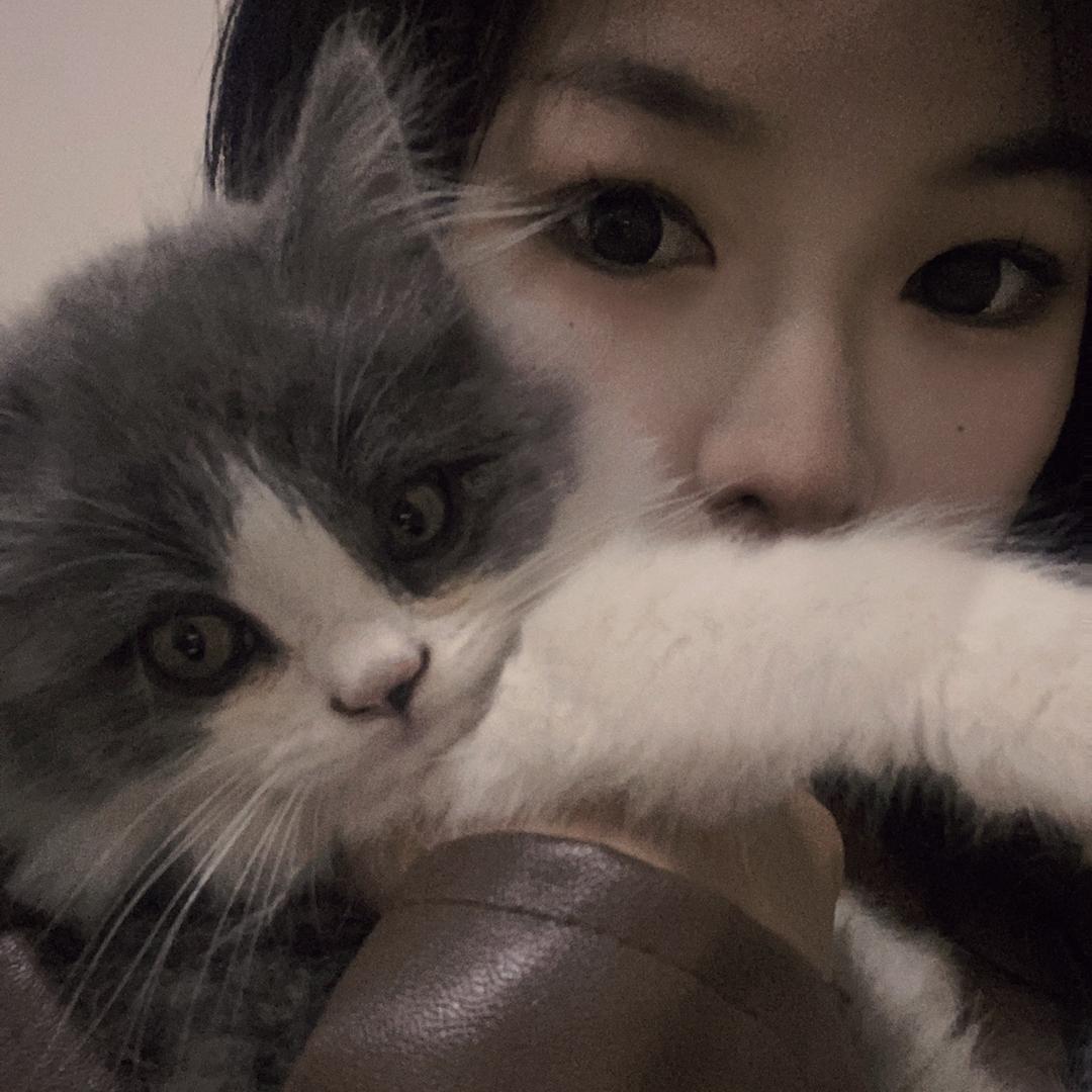 禾甸柿囍蛋糕定制