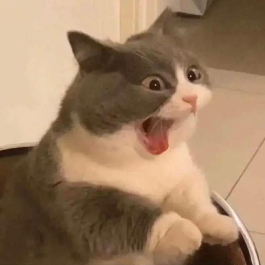 山月