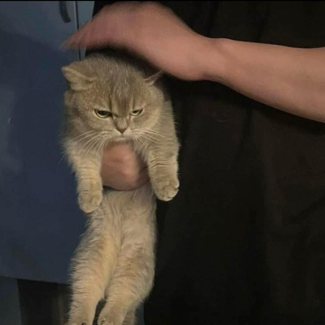 边车