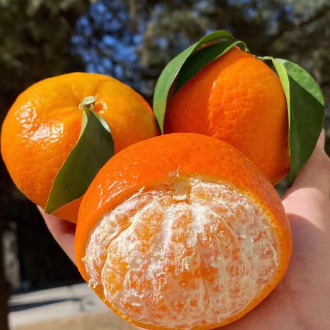 采蘩荣会通水果专卖店