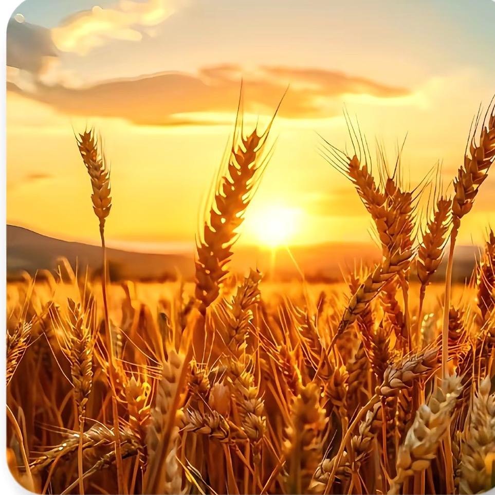 ꩵ暴ᩚ꯭富ᩚ小꯭ᩚ仙女ᩚঞ