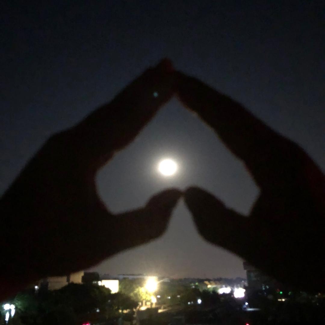 美阳阳🧘‍♀️