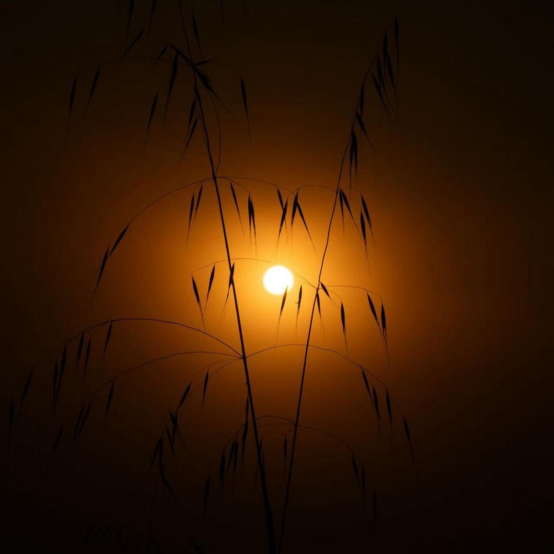 T5航站楼出发层