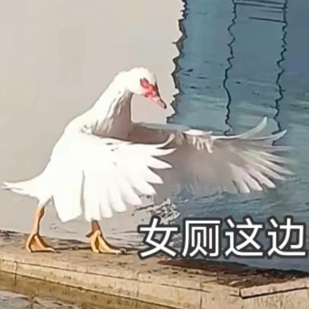 要你管我？